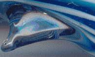 dolphin pectoral fin, right hand view