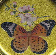 six coasters: orange butterfly closeup