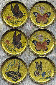 six coasters: different realistic butterflies on a gold background