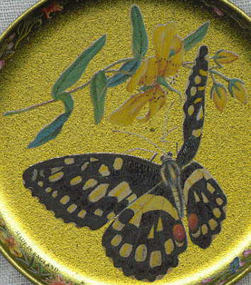 six coasters: closeup of spotted butterfly with open wings