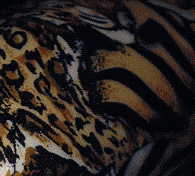 china camouflage tiger: camouflage on right neck