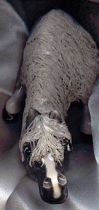 china horse, view from front showing top of head and mane