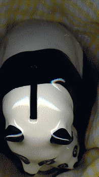 wade natwest money box panda: view of top
