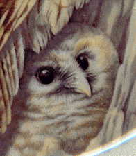 right hand chick from second plate