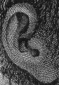 close-up of the man's ear, showing how the engraving rounds and shapes the skin