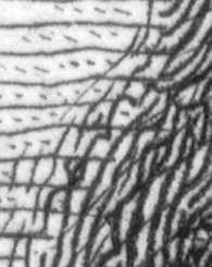 close-up at 619% at the point where the man's hair meets the background: showing how the 3D effect is achieved, by overlapping different engraving techniques