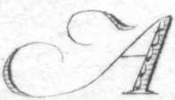 close-up of the letter 'A' in the picture's title: delicate and elegant